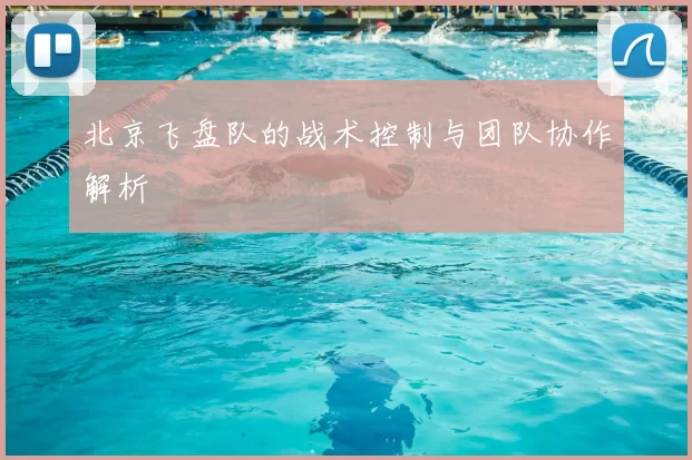 北京飞盘队的战术控制与团队协作解析