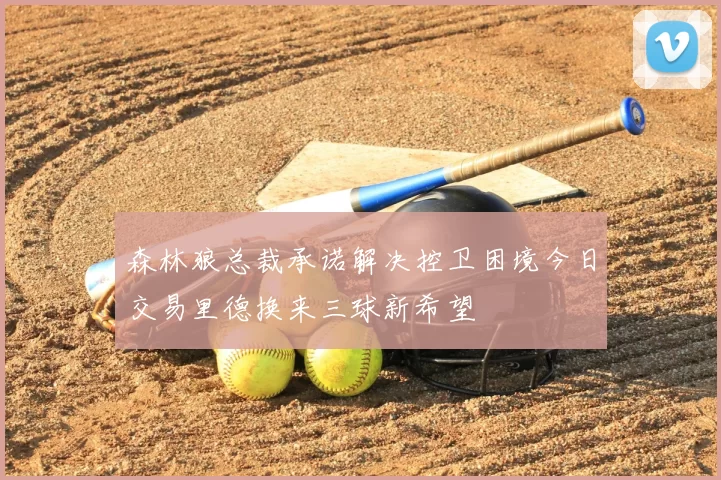 森林狼总裁承诺解决控卫困境今日交易里德换来三球新希望
