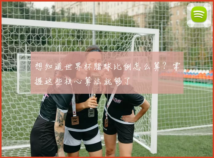 想知道世界杯赌球比例怎么算?掌握这些核心算法就够了