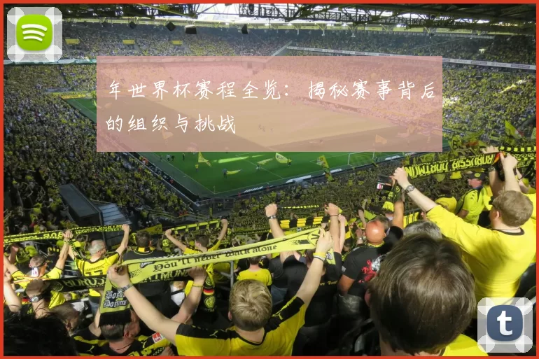 年世界杯赛程全览:揭秘赛事背后的组织与挑战