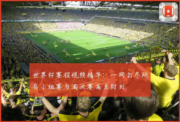 世界杯赛程视频精华:一网打尽所有小组赛与淘汰赛高光时刻