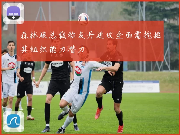 森林狼总裁称麦丹进攻全面需挖掘其组织能力潜力