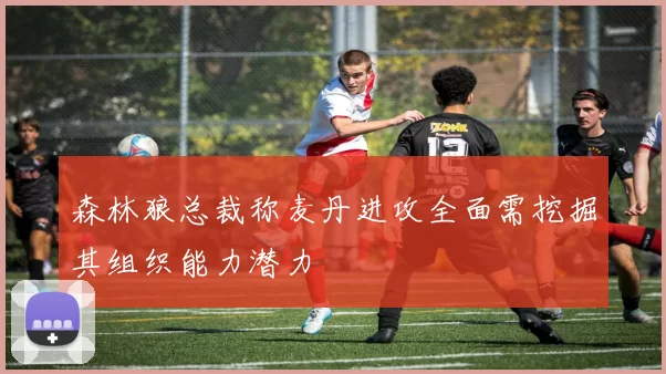 森林狼总裁称麦丹进攻全面需挖掘其组织能力潜力