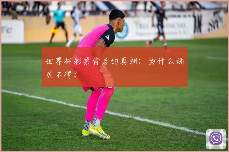 世界杯彩票背后的真相:为什么说买不得?