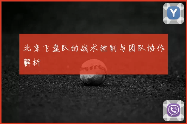 北京飞盘队的战术控制与团队协作解析