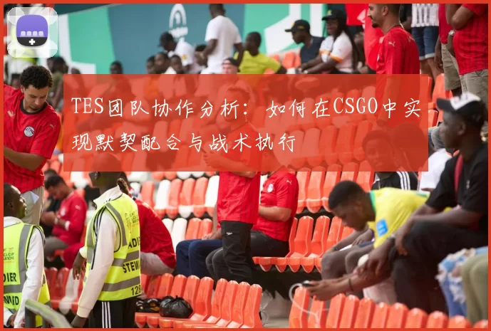 TES团队协作分析:如何在CSGO中实现默契配合与战术执行