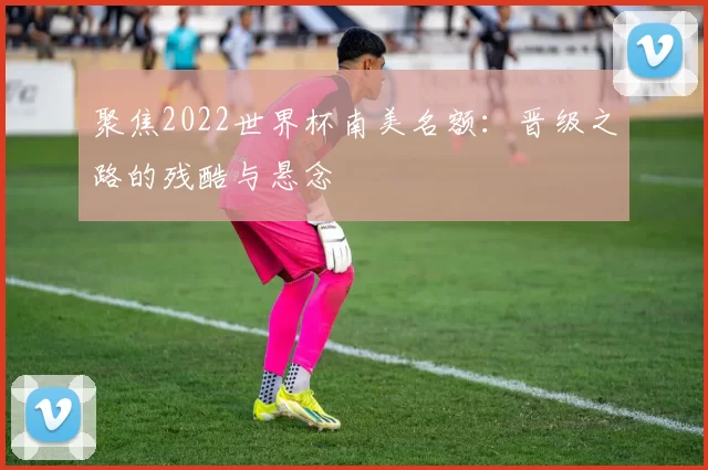 聚焦2022世界杯南美名额:晋级之路的残酷与悬念